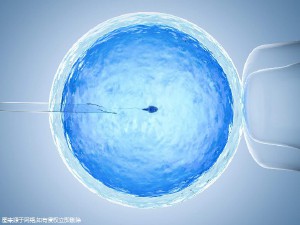 供卵代怀包生男孩机构